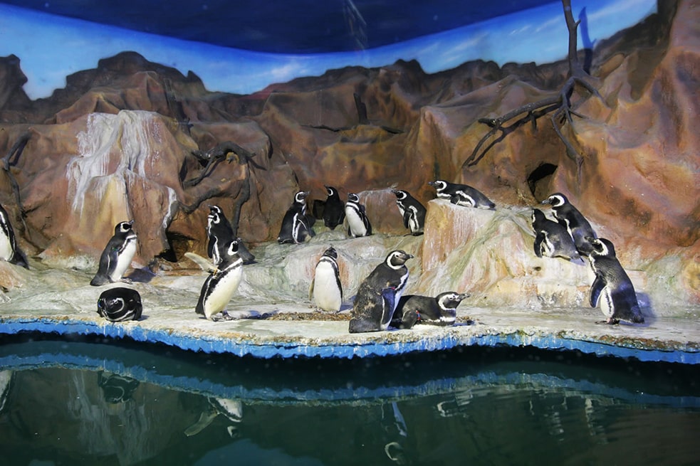 Guarujá com bebê: lugares para curtir com o seu pequeno! Guarujá com bebê: lugares para curtir com o seu pequeno!