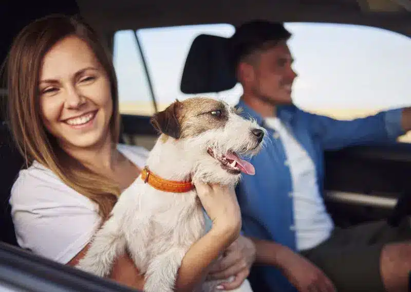 Como ir ao Guarujá: as melhores opções para o seu transporte! Casal com pet no carro - Hotel Doral Guarujá