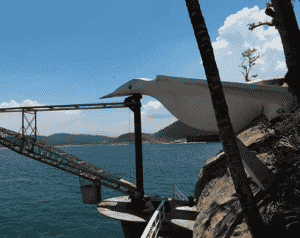 Ilha dos Arvoredos: conheça um patrimônio histórico ambiental! Ilha dos Arvoredos: conheça um patrimônio histórico ambiental!