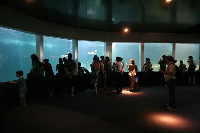 Qual é a melhor praia do Guarujá para a família? Qual é a melhor praia do Guarujá para a família?