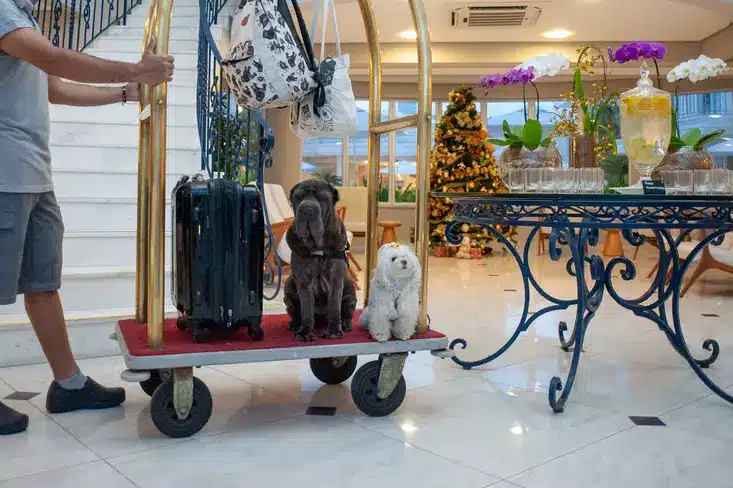 Posso estacionar o carro no Hotel Doral? Posso estacionar o carro no Hotel Doral?