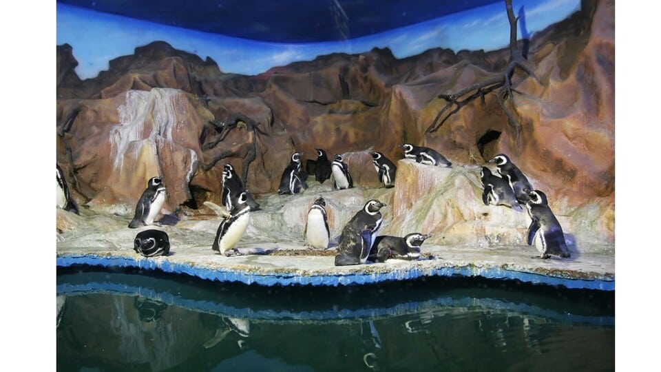 Roteiro turístico no Guarujá Roteiro turístico no Guarujá