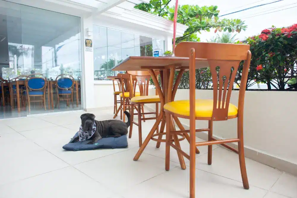 Doral: Hotel Pet Friendly no Guarujá, Enseada Doral: Hotel Pet Friendly no Guarujá, Enseada