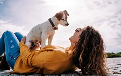 Pet Friendly: saiba tudo sobre isso no Hotel Doral Guarujá! Pet Friendly: saiba tudo sobre isso no Hotel Doral Guarujá!