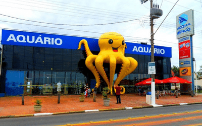 Para visitar: conheça o Acqua Mundo, o aquário do Guarujá! Acqua Mundo Aquário Guarujá pontos turisticos do Guarujá