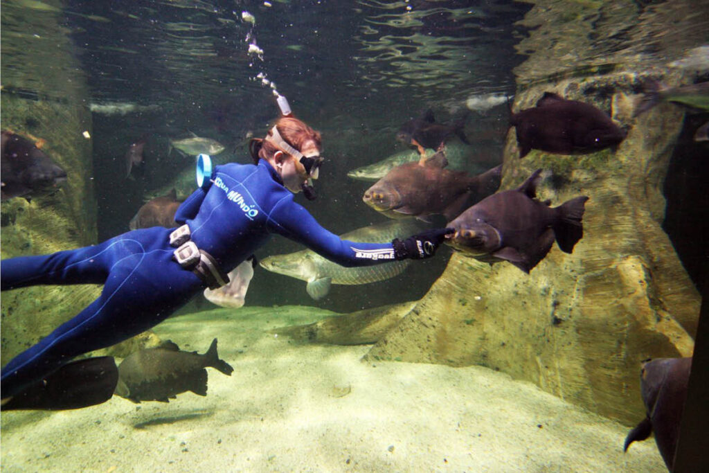 Atrações turísticas do Guarujá: o que fazer pela cidade? Atrações turísticas do Guarujá: o que fazer pela cidade?