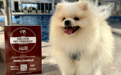 Hotel Pet Friendly Premio Melhor Hotel Pet Friendly
