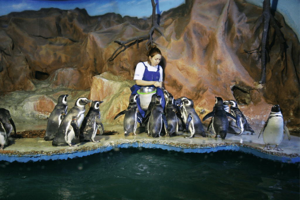 Roteiro no Guarujá: para 3, 5 ou 7 dias de viagem 2025 Acqua Mundo Aquário Guarujá roteiro