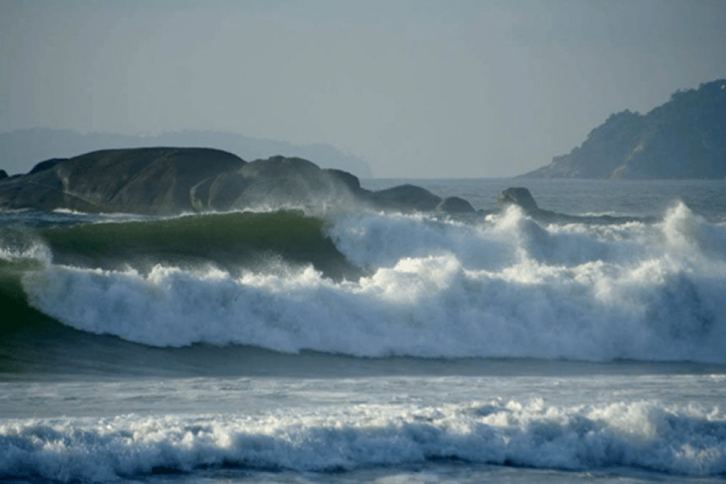 Descubra as Melhores Praias para Surfar em São Paulo e Viva a Emoção das Ondas Descubra as Melhores Praias para Surfar em São Paulo e Viva a Emoção das Ondas