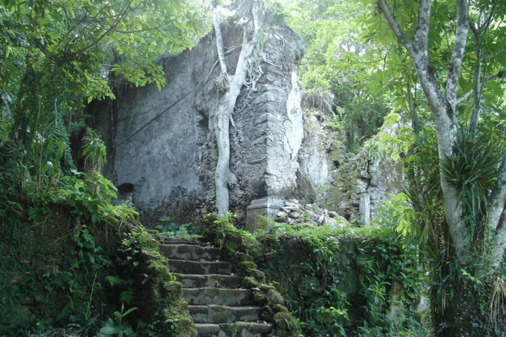 As melhores trilhas e passeios ecológicos no Guarujá As melhores trilhas e passeios ecológicos no Guarujá