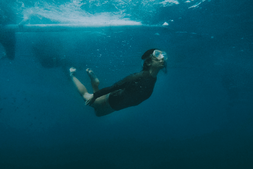 Como se encantar com a natureza e a biodiversidade do Guarujá Como se encantar com a natureza e a biodiversidade do Guarujá