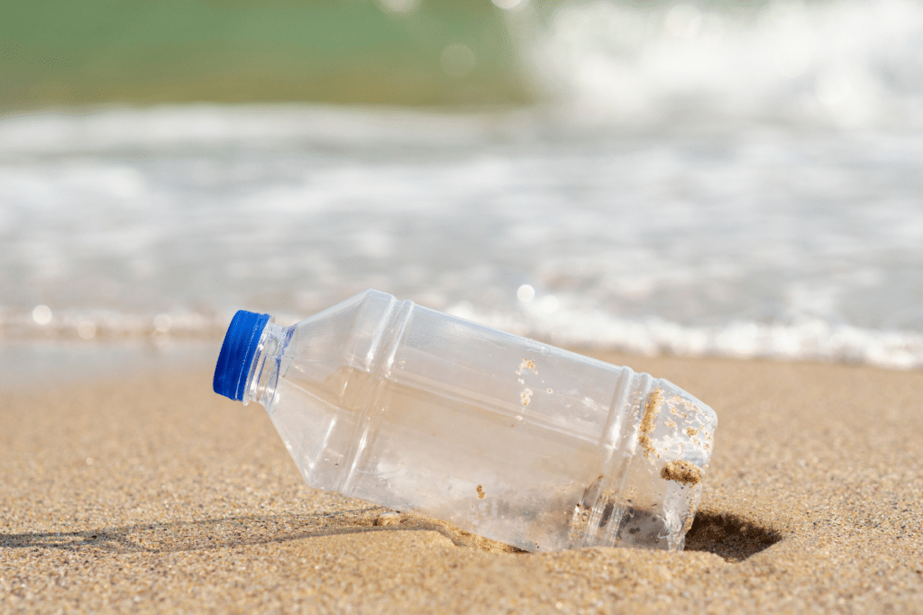 Turismo Sustentável no Guarujá: Viaje com Consciência e Respeito Turismo Sustentável no Guarujá: Viaje com Consciência e Respeito