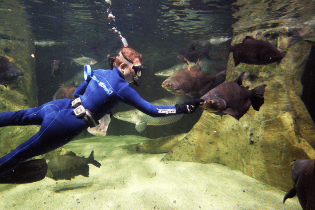 Atividades Aquáticas para Todas as Idades Atividades Aquáticas para Todas as Idades