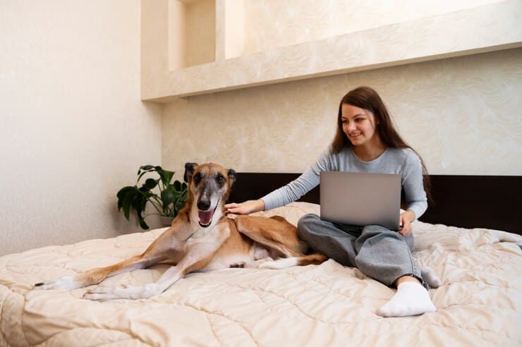 Guarujá Pet: O Destino Perfeito para Viajar com seu Pet e Ficar no Hotel Doral Guarujá Pet